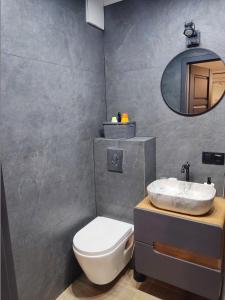 什切青River House - Apartament z ogródkiem的一间带水槽、卫生间和镜子的浴室