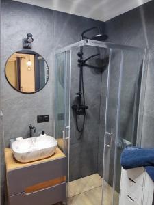 什切青River House - Apartament z ogródkiem的一间带水槽和淋浴的浴室