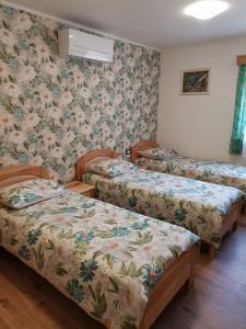 伊利尔斯卡比斯特里察Domačija Bubec的花卉壁纸客房内的三张床