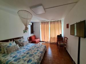 圣安娜多巴哥一室公寓的一间卧室配有一张床、一把椅子和电视