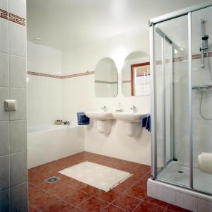 布尔坦赫城布尔坦赫弗斯丁酒店的一间带水槽和淋浴的浴室