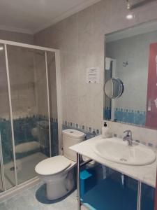 夫罗米斯塔HOTEL RURAL San Pedro的浴室配有卫生间、盥洗盆和淋浴。
