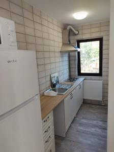 康斯坦察Casa Jolie的一个带水槽和窗户的小厨房