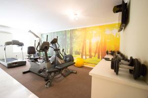 开普敦安德罗斯精品酒店的健身房设有跑步机和壁画