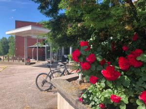 EvitskogHotel & Hostel Silmu的一辆自行车旁的种植园里放着一束红玫瑰