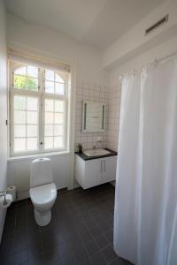 伦讷Det Gamle Posthus的一间带卫生间、水槽和窗户的浴室