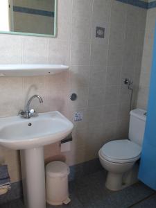 帕罗奇亚Viva Margarita的一间带水槽、卫生间和镜子的浴室
