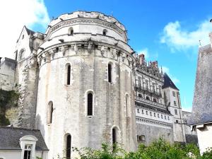 阿姆博斯En plein Coeur : charmant gite centre Amboise的一座古老的城堡,上面有一座塔