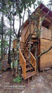 El PacíficoCabaña en el Bosque de San José del Pacífico的树林里木楼梯的树屋