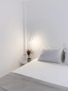 莫奈姆瓦夏LULU - Self Catering Accommodation的白色卧室配有白色的床和植物