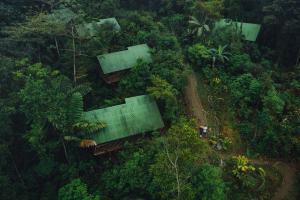 福尔图纳La Tigra Rainforest Lodge的享有森林的顶部景色,森林中拥有房屋和树木