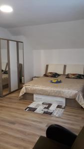 Căpăţîneni-UngureniCasa Mariana的一间卧室配有两张床和镜子