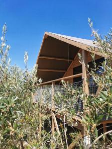 圣安杰洛城Glamping CirelliWines Abruzzo的树屋,有些灌木丛后面设有阳台