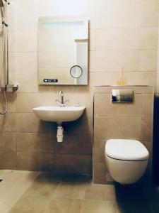 Ó MéithMaggie janes cottage Carlingford omealth的一间带水槽、卫生间和镜子的浴室