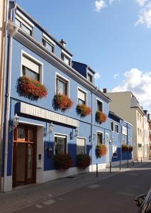 法兰肯塔尔费灵维斯图本餐厅&酒店的街道边有花斑的蓝色建筑