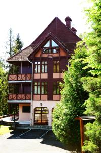 泰尔基巴尼奥Ezüstfenyő Hotel的一座种有树木的棕色白色大房子