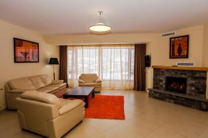 巴库里阿尼水晶山坡度假村的客厅配有沙发、椅子和壁炉
