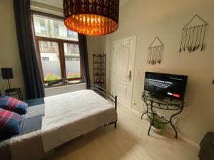 布鲁塞尔Petit Appartement Jourdan EU的一间卧室配有一张床和一台平面电视