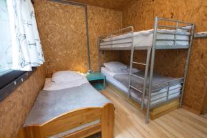 吉日茨科Bogacki Domek的一间卧室设有两张双层床和一扇窗户。