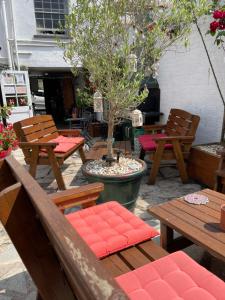 西德伯里Red Lion Inn的庭院设有木桌、长凳和树
