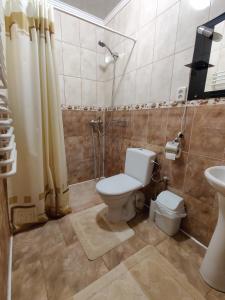 科索夫Зелена садиба Валило的浴室配有卫生间、淋浴和盥洗盆。