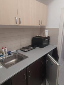 尼普顿Apartamente Neptun Bosco的厨房柜台设有水槽和微波炉