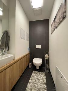 维也纳Modern Danube Apartment Vienna的一间带卫生间和水槽的浴室