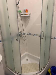 扎托卡Apartments ZOLOTOY BEREG的浴室里设有玻璃门淋浴