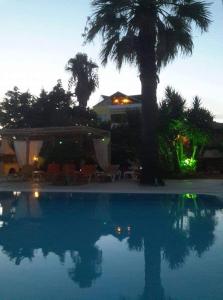 瓦西里科斯LEMON GARDEN的一座棕榈树和房子的游泳池