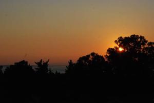 瓦西里科斯LEMON GARDEN的海面上的日落,在前庭上种有树木