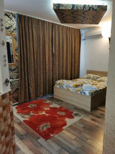 布加勒斯特Garsoniera Gara de Nord的卧室配有一张床,地板上铺有地毯