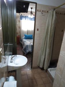 萨尔塔艾尔霍加尔公寓酒店的浴室配有水槽、淋浴和浴缸。