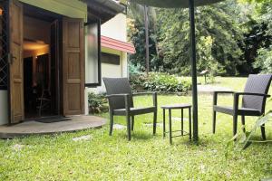 安巴拉瓦亚尔Tranquil Resort - Blusalzz Collection, Wayanad - Kerala的草上一组椅子和一把伞