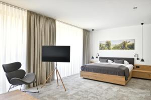 Zgornja Kungota维拉驰科旅馆的一间卧室配有一张床和一台平面电视