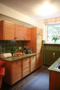 纽伦堡Apartment Centrum im Grünen的厨房配有木制橱柜和窗户。