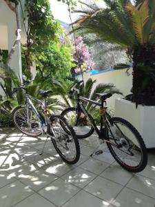 布德瓦贝西奇公寓的两辆自行车停在一个庭院,彼此相邻