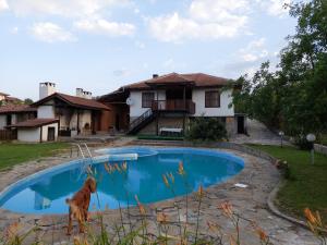 阿斯帕鲁霍沃СЪНТОВЕЦ - къща за гости的一只狗站在游泳池前