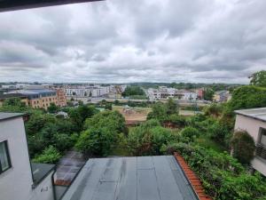 罗斯托克Nikolai Appartements的从建筑屋顶上可欣赏到城市美景