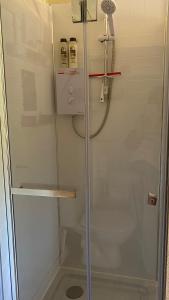 多切斯特Primrose Cabin的浴室里设有玻璃门淋浴