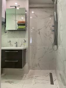 皮兰Villa Piran luxury apartments的带淋浴、盥洗盆和镜子的浴室