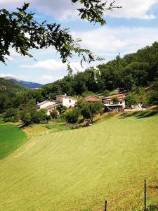 卡夏Agriturismo Casale Sant'Antonio的一片大片草地,有房子的背景