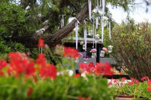 萨包迪亚乐顿妮酒店的花园内种有红色的鲜花和白色的吊灯
