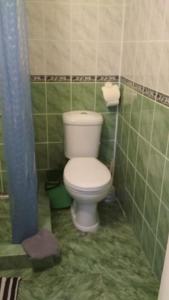拉扎列夫斯科耶Svetlana的浴室设有白色卫生间,浴室铺有绿色瓷砖。