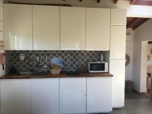 圣罗克杜皮库Quinta das Almas的厨房配有白色橱柜和微波炉