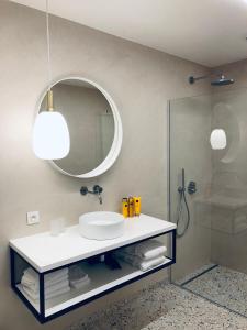 布鲁日Suites Le Porte-Bonheur的一间带水槽、镜子和淋浴的浴室