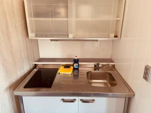 格拉茨Veni Apartments的一个带水槽和台面的小厨房