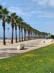 莱斯卡瑟斯-达尔卡纳Can Solé的海滩旁人行道上一排棕榈树