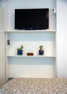 奥帕提亚Room soba u Opatiji Na Lipovici的两盆植物的白色架子上的电视