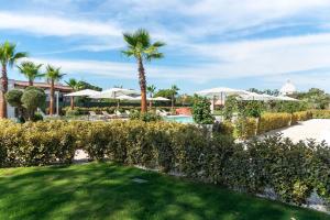 普罗奇达Insula Boutique Hotel的享有带游泳池和棕榈树的度假村的景致