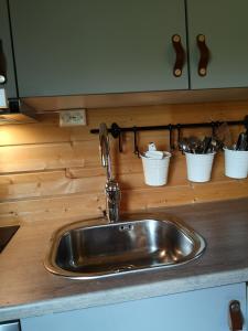 KjøllefjordDavvi Siida - Reindeer Design Lodge的厨房里的水槽,柜台上装有水桶